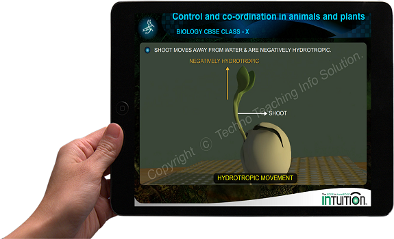 Intuition E-education with Android